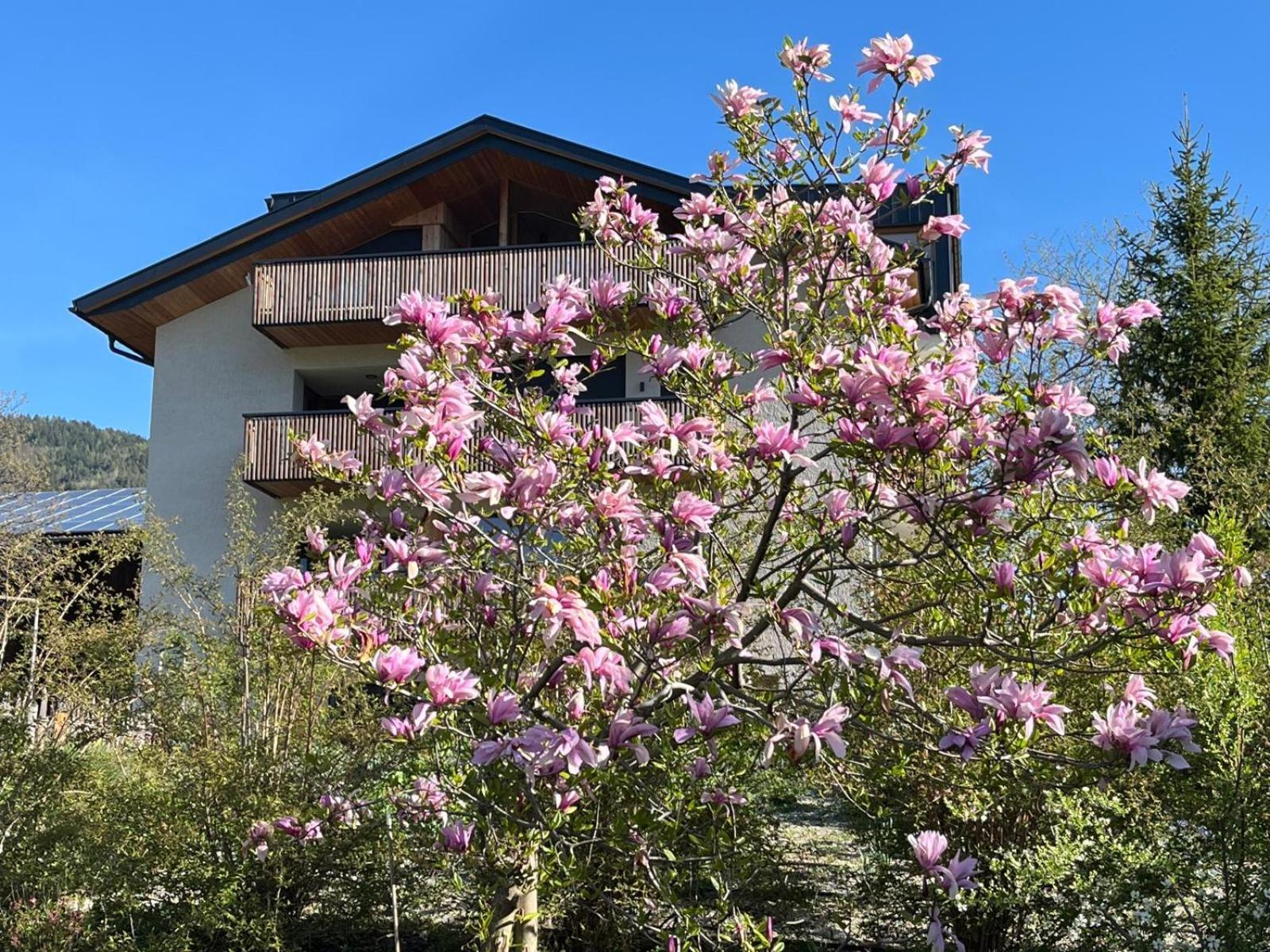 Oberfallerhof Apartment Ummi Barbiano  Eksteriør bilde